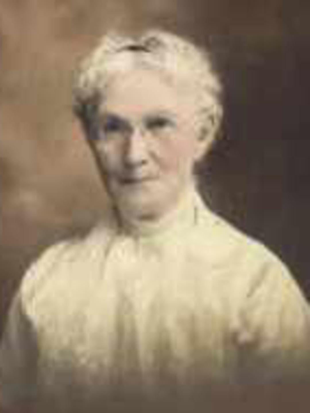 Zina Rosella Newberry Morris (1848 - 1928) Profile